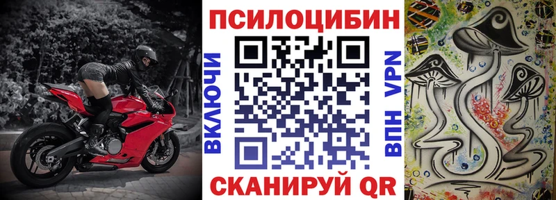 Псилоцибиновые грибы Psilocybine cubensis  дарнет шоп  Рошаль 